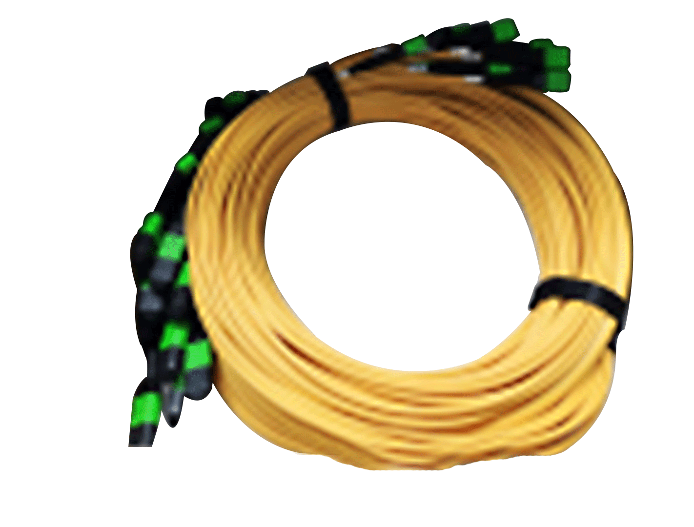 1iaXyCYPHkeBicyiaaVxMgyEXLxYgwibjfUZTv9tGlz8CU8oCej25WTTwIFCS0OFaSQhozAArowm48hpS79MKEUQMA-9c03b431-a0af-4df2-99e6-73257e4573fd