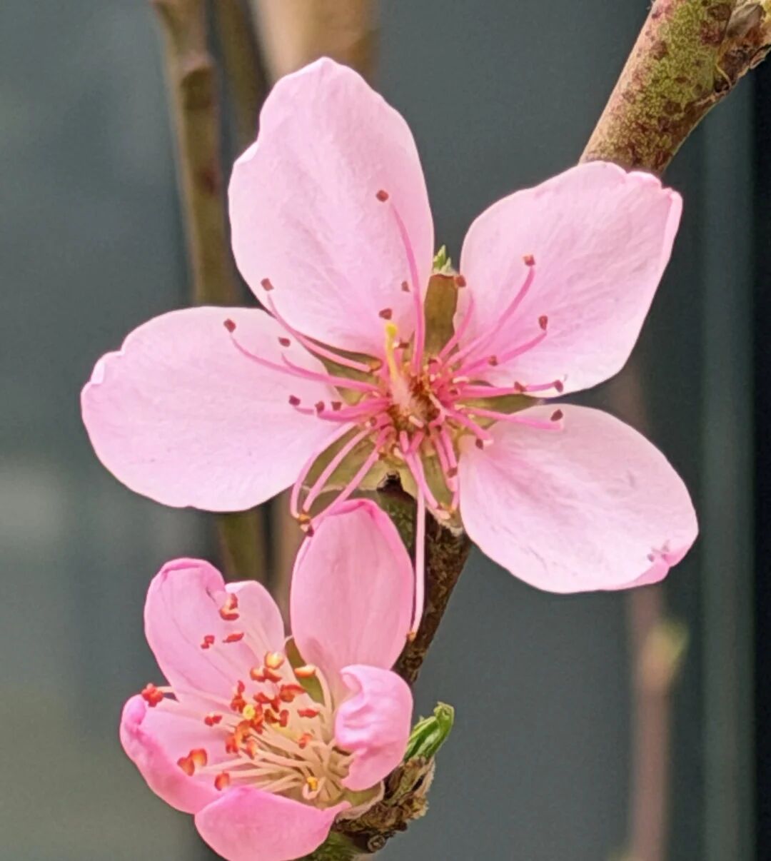 yPHnESAC7PDDwD3d9yGRGBvkz35QL3LicTTbQEzTk5d0nic60NYPoTwRT4MCrpWXZUguTWnDq9ibDSdxuJNUZrIf7jMxqlRIC6GEicFAndE310E-2ba10440-0495-4a0c-a912-d50dcdba8c9c